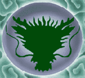 《五龍爭霸》老虎機百搭圖形