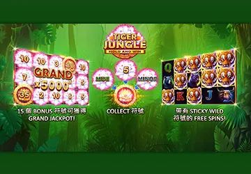 叢林之王老虎機遊戲畫面
