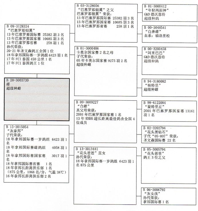 照片5