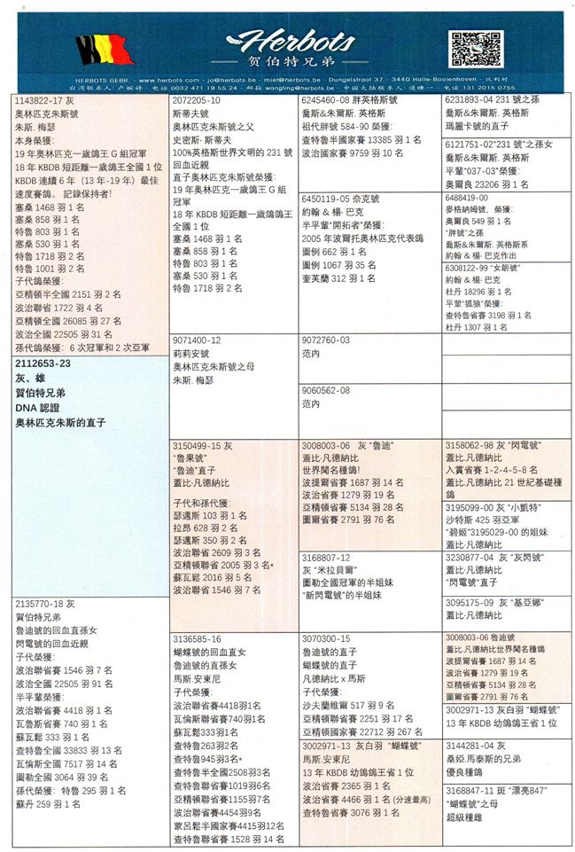 父鴿