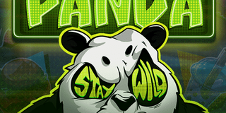 熊貓跳舞你賺錢！《熊貓之眼》超強 Wild 倍數玩法全公開！